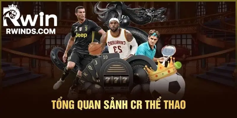 Giới thiệu về địa chỉ cá độ lý tưởng 2025 - CR thể thao